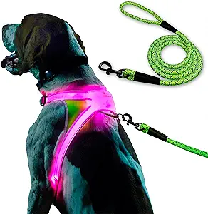 LED light-up dog harness in pink with green reflective rope leash set